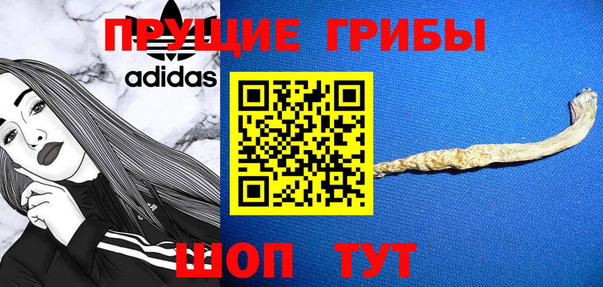 Галлюциногенные грибы GOLDEN TEACHER Томск