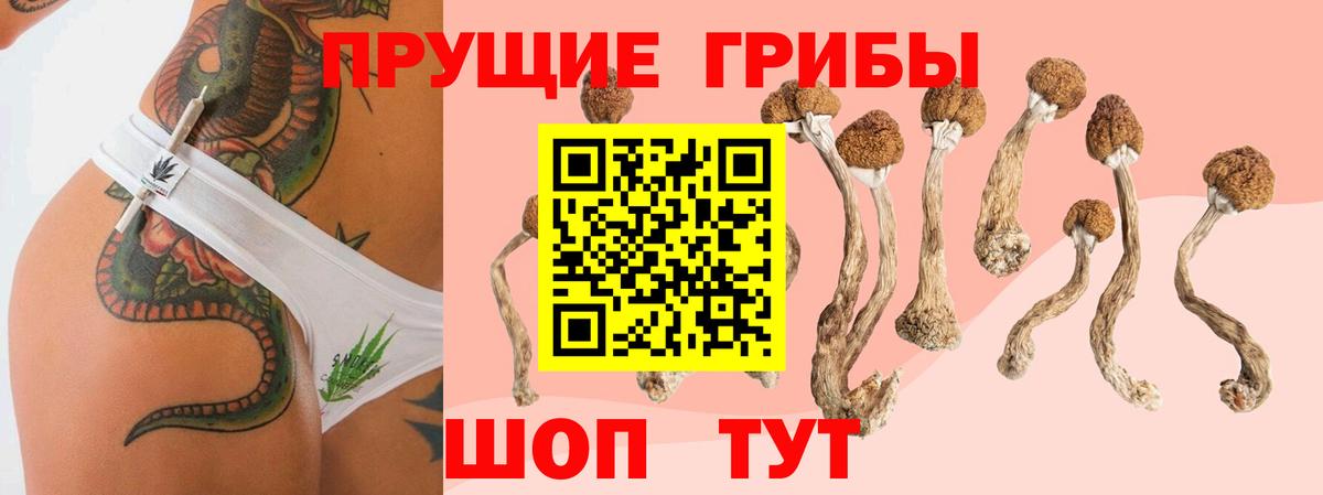Псилоцибиновые грибы Magic Shrooms  Вход с VPN  Томск 